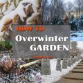 How To Overwinter Your Balcony Plants