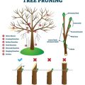 How To Prune Plants For Better Growth