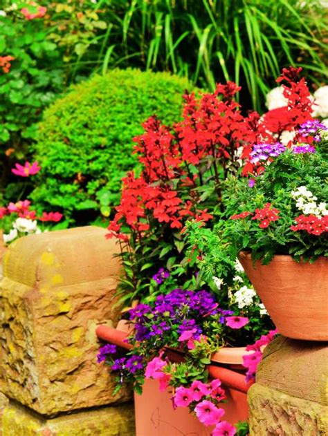 How To Select The Best Seasonal Plants For Your Balcony