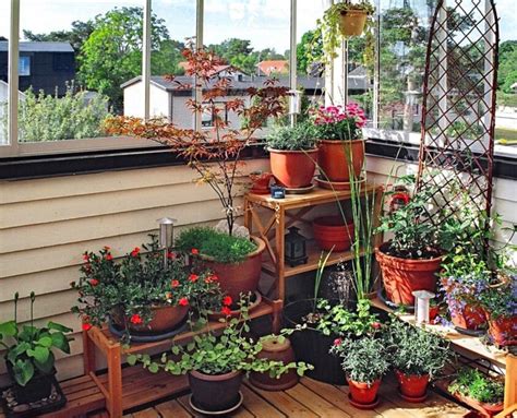 How To Start A Balcony Garden In Any Season