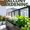 How To Start A Balcony Garden With Limited Budget