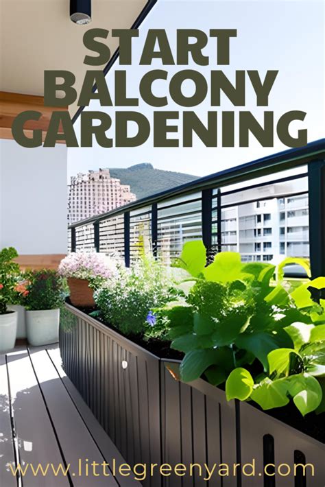 How To Start A Balcony Garden With Limited Budget