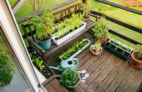 How To Start A Balcony Herb Garden