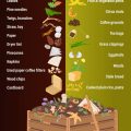 How To Start A Compost Bin On Your Balcony