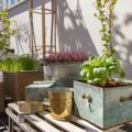 How To Transform Your Balcony Into A Green Sanctuary