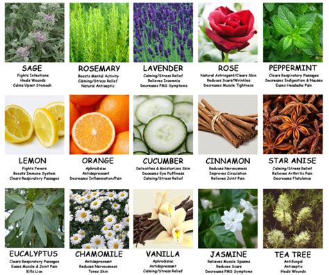 How To Use Aromatherapy Plants On Your Balcony