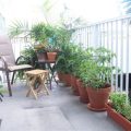 How To Use Aromatherapy For A Relaxing Balcony Garden