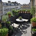 How to Use Aromatic Herbs for Culinary Delights on Your Balcony