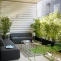 How To Use Balcony Plants For Privacy Solutions