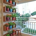 How To Use Color Theory In Your Balcony Plant Selection