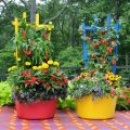 How to Use Colorful Containers in Your Balcony Garden