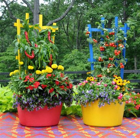 How to Use Colorful Containers in Your Balcony Garden