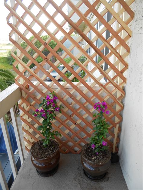 How To Use Fencing For Plant Support On Balconies