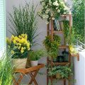 How To Use Foliage Plants To Enhance Your Balcony Garden