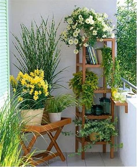 How To Use Foliage Plants To Enhance Your Balcony Garden