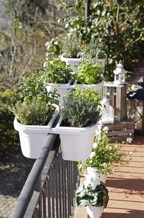 How To Use Herbs In Cooking From Your Balcony