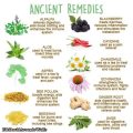 How To Use Natural Remedies For Plant Health