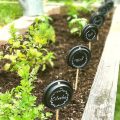 How To Use Plant Labels For Better Organization