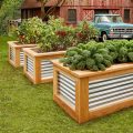 How To Use Raised Beds For Balcony Gardening