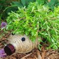 How To Use Recycled Materials For Plant Containers