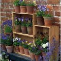 How To Use Terracotta Pots For Your Balcony Plants