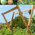 How To Use Trellises For Vertical Gardening