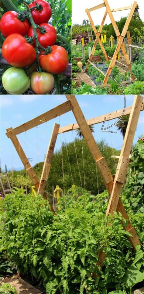 How To Use Trellises For Vertical Gardening