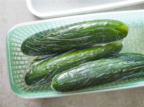 How to store cucumbers from balcony harvest?