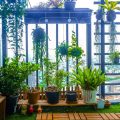 Innovative Ideas for Balcony Plant Layouts