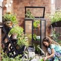 Learn How to Build a Balcony Garden from Scratch