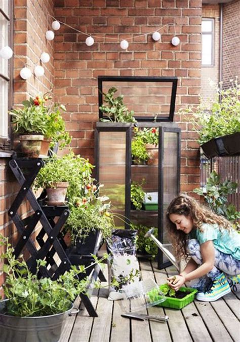 Learn How to Build a Balcony Garden from Scratch