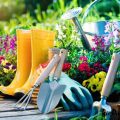 Must-Have Tools for Balcony Gardeners