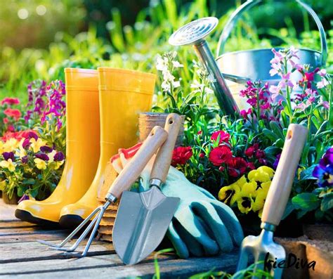 Must-Have Tools for Balcony Gardeners