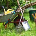 Must-Have Tools For Balcony Gardening