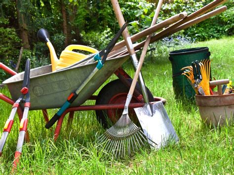 Must-Have Tools For Balcony Gardening