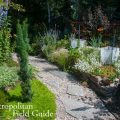 Planning a Balcony Garden for Wildlife Habitat