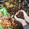 Seasonal Benefits Of Composting For Your Balcony Garden