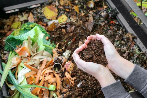 Seasonal Benefits Of Composting For Your Balcony Garden