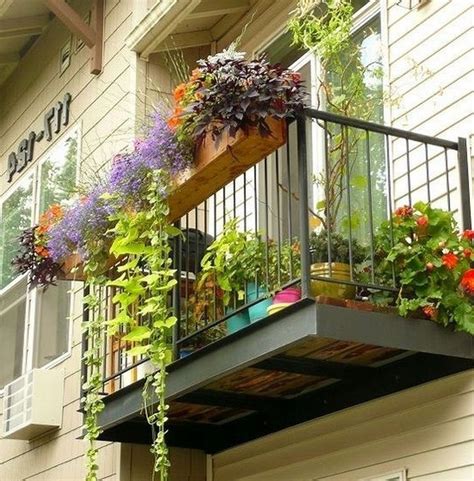 Seasonal Changes: What To Plant On Your Balcony