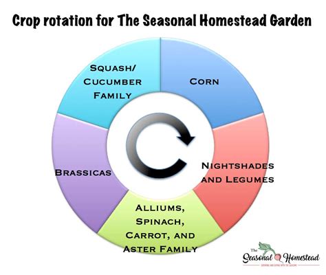 Seasonal Plant Rotation Ideas For Your Balcony