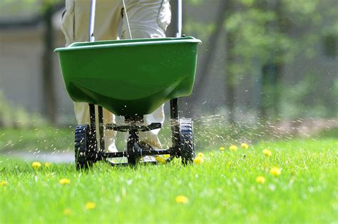 Seasonal Tips For Fertilizing Your Balcony Plants