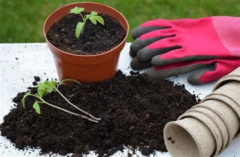 Sustainable Gardening Practices For Your Balcony