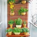 The Art Of Vertical Gardening On Your Balcony