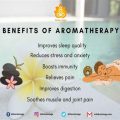 The Benefits Of Aromatherapy Plants For Your Balcony