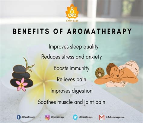 The Benefits Of Aromatherapy Plants For Your Balcony