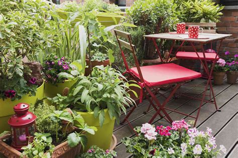 The Benefits Of Companion Planting On Your Balcony