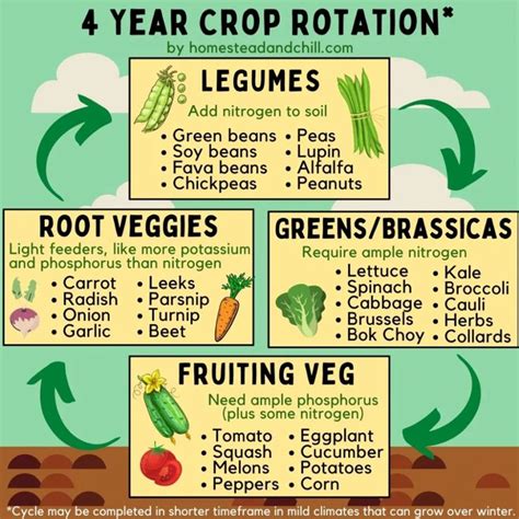 The Benefits Of Seasonal Plant Rotation In Balcony Gardens