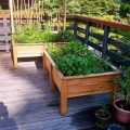 The Benefits of Using Raised Beds on Your Balcony