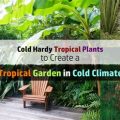 The Best Plants For Balcony Gardens In Cold Climates