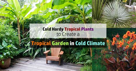 The Best Plants For Balcony Gardens In Cold Climates